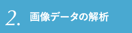 画像データの解析