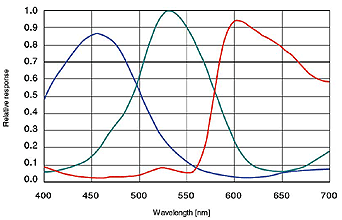 分光感度特性図