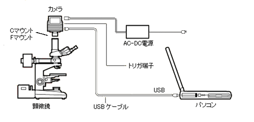 パソコンダイレクト